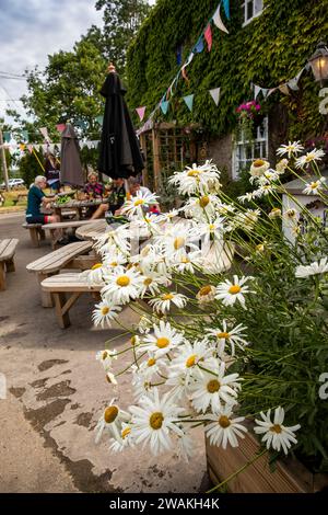 UK, England, Oxfordshire, Fringford, Stratton Audley Lane, Blumen vor den Armen der Metzger Stockfoto