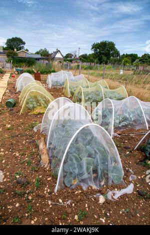 Großbritannien, England, Oxfordshire, Juniper Hill, Dorfregionen der Wohltätigkeitsorganisation „Kleinod für die arbeitenden Armen“ Stockfoto