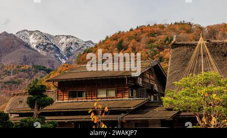 Farbenfrohe herbstliche Szene im Dorf shirakawago, traditionelles Holzhaus und Baum mit Yukitsuri Bambus und Seilschutz bereit für Winterschnee Stockfoto