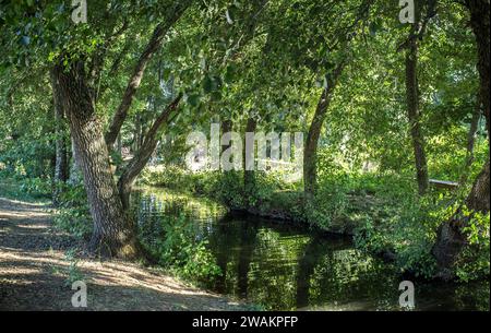 Gevora River Forest, La Codosera, Badajoz, Extremadura, Spanien. Idyllische Lage mit kristallklarem Wasser und Wäldern am Fluss Stockfoto