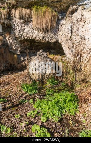 Mineralablagerungen auf Felsen in Tillmouth, Northumberland Stockfoto