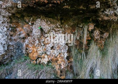 Mineralablagerungen auf Felsen in Tillmouth, Northumberland Stockfoto