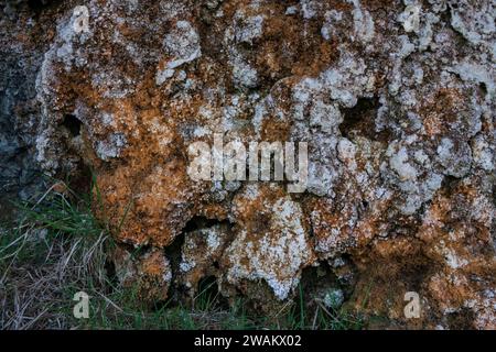 Mineralablagerungen auf Felsen in Tillmouth, Northumberland Stockfoto