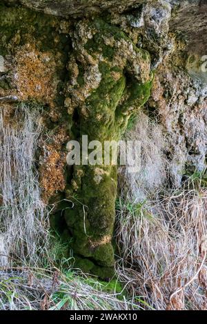 Mineralablagerungen auf Felsen in Tillmouth, Northumberland Stockfoto