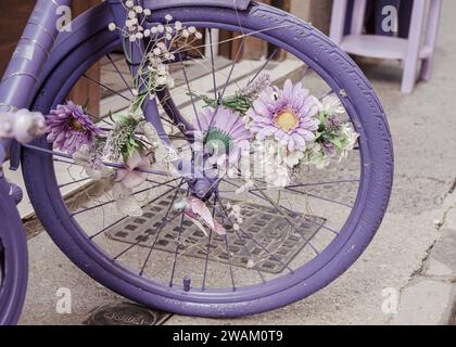 Ein Fahrrad für Blumen mit Blüte und ein Vogel am Rad, Olite (Navarra, Spanien) Stockfoto