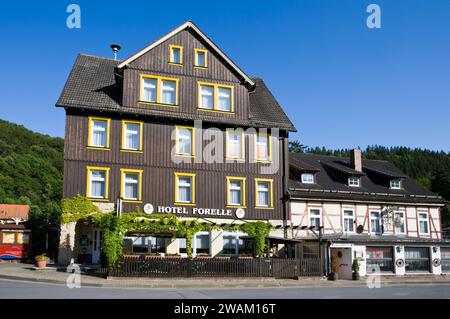 Dorf Treseburg, Bodetal, Landkreis Harz, Sachsen-Anhalt, Deutschland, Europa Stockfoto