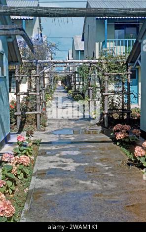 Ein Fußgängerweg zwischen den Chalet-Unterkünften nach einem Regenschauer im Ferienlager Butlin’s Clacton Mitte der 1960er Jahre Die zweistöckigen Chalets sind in einer hellen blauen Farbe gestrichen und es gibt farbenfrohe Pflanzen um rustikale Gitter. Freiliegende Versorgungsleitungen und Stacheldraht sind jedoch zu sehen. Billy Butlin gründete ein neues Ferienlager in Clacton-on-Sea, Essex, England, England, Großbritannien, indem er das West Clacton Estate kaufte und renovierte, ein Vergnügungspark westlich der Stadt. Das Clacton Camp war bis 1983 geöffnet, als das Ferienlager geschlossen und verkauft wurde – ein Vintage-Foto aus den 1960er Jahren. Stockfoto