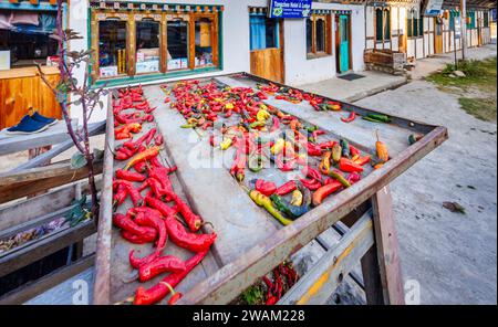 Sonnengetrocknete rote Chilis wurden im Freien vor einem Geschäft in Chamkhar Town, Bumthang, in der zentralöstlichen Region Bhutans, getrocknet Stockfoto