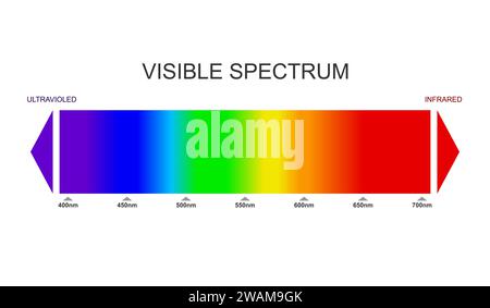 Spektrum, Diagramm für sichtbares Licht. Teil des elektromagnetischen Spektrums, der für das menschliche Auge sichtbar ist. Elektromagnetisches Farbspektrum, Lichtwelle Stock Vektor