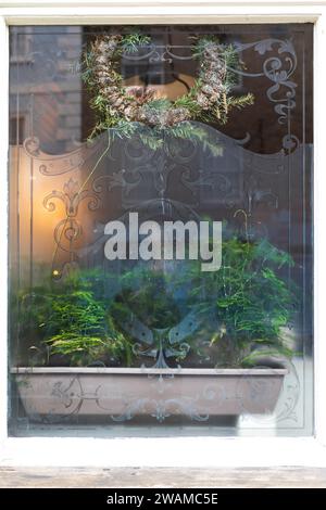 Spargelzweige an einem alten Café-Fenster. Blick durch Glas. Unschärfe Stockfoto