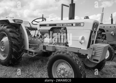 Low Ham.Somerset.United Kingdom.July 23rd 2023.A restaurierter david Brown 885 ist auf der Somerset Steam and Country Show zu sehen Stockfoto