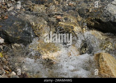 Bergfluss klares, reines Wasser Stockfoto