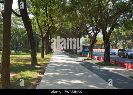 SHENZHEN, CHINA - 22. NOVEMBER 2019: Shenzhen Stadtlandschaft tagsüber. Stockfoto