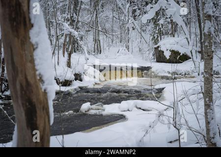 Natur Estlands, ein kleiner Fluss mit einem Wasserfall fließt im Winter durch einen schneebedeckten Wald. Hochwertige Fotos Stockfoto