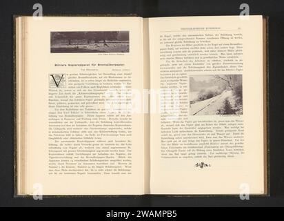 Herten in een bos, Esther Behrens, um 1893 - in oder vor 1898 photomechanischer Druck Hamburg Papier Huftiere: Hirsch. Wald, Holz Stockfoto