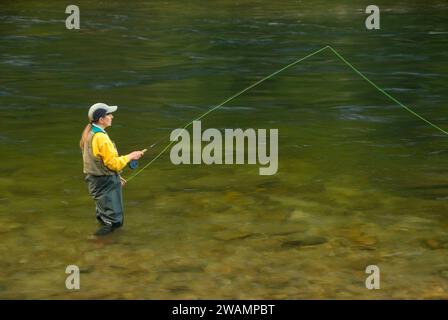 Fliegenfischen, Middle Fork Clearwater Wild and Scenic River, Clearwater National Forest, Nordwestpassage Scenic Byway, Idaho Stockfoto