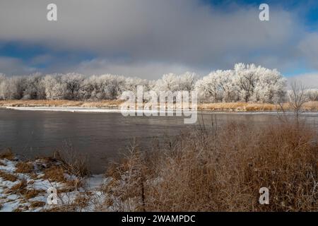 Kearney, Nebraska - Frost auf Bäumen entlang des Platte River an einem Januartag. Stockfoto