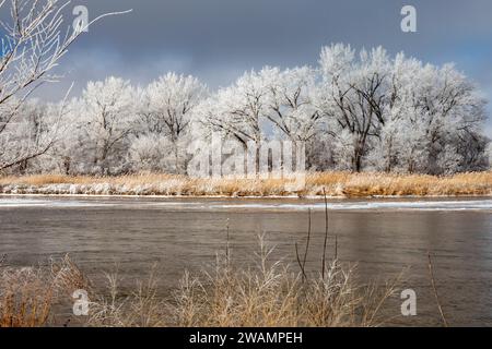 Kearney, Nebraska - Frost auf Bäumen entlang des Platte River an einem Januartag. Stockfoto