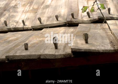 Holznägel auf Holzdach des traditionellen serbischen Landhauses im Freilichtmuseum Old Village, Sirogojno, Serbien Stockfoto