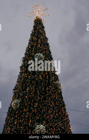 Latina, Italien. Januar 2024. Der Weihnachtsbaum, der während der Weihnachtszeit auf der Piazza del Popolo in Latina mit Weihnachtslichtern geschmückt ist. Hunderte jubelnde Kinder und Erwachsene begrüßten die Befana, die anlässlich der Epiphanienfeier in Latina vom Turm des Rathauses abstieg. Quelle: ZUMA Press, Inc./Alamy Live News Stockfoto