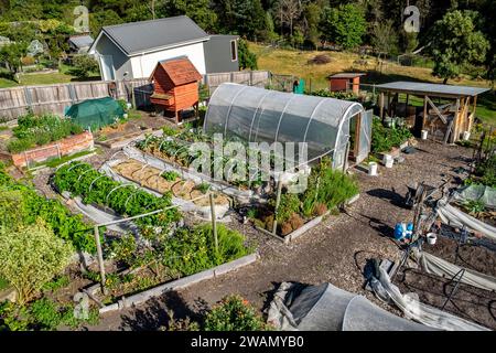 Teil einer kleinen Vorstadtgartenfarm in Hobart, Tasmanien, die frische Bio-Produkte für Restaurants liefert Stockfoto