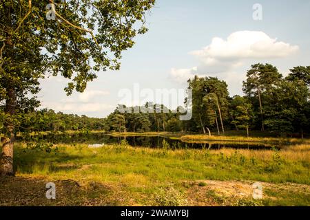 Naturschutzgebiet Schwarzes Wasser im Naturpark hohe Mark Westmünsterland bei Wesel, NRW Stockfoto