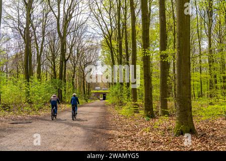 Der Sterkraderwald in Oberhausen, am Autobahndreieck Oberhausen, wo die A2/A3A/A516 aufeinander treffen, soll erweitert werden, 11 Hektar Wald, aro Stockfoto