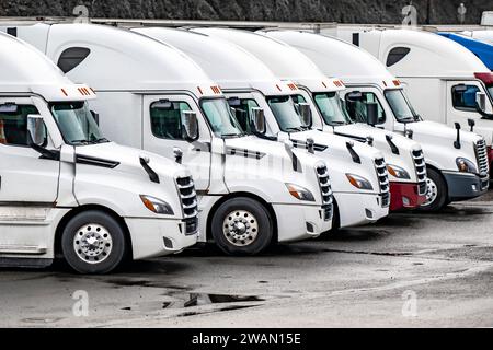 Weiße, leistungsstarke Sattelzugmaschinen mit großen Lkw und Aufliegern mit trockenen Lieferwagen, die auf dem Industrieparkplatz in Reihe stehen und auf die nächste Lade warten Stockfoto