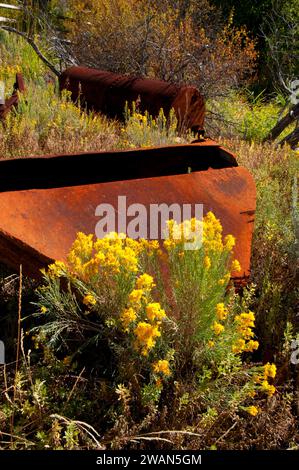 Minenartefakt, Bayhorse Town Site, Land of the Yankee Fork State Park, Idaho Stockfoto