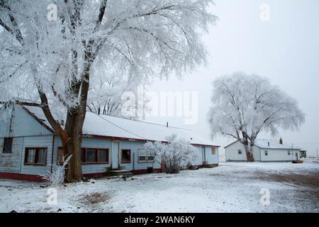 Duplex (nach der Beerdigung Lager), Minidoka National Historic Site, Idaho Stockfoto