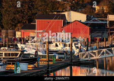 Ilwaco WA USA 27. November 2023 - Gebäude zur Verarbeitung von Safe Coast Seafoods am Dock am Ufer Stockfoto