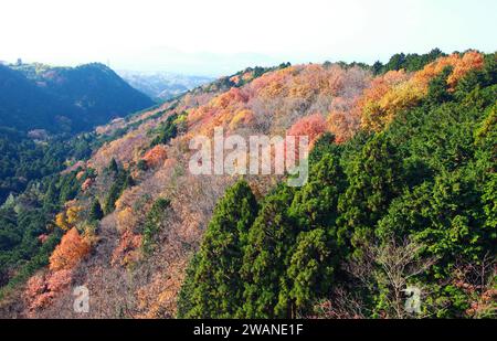Blick auf die umliegende Landschaft vom Mishima Sky Walk in der Präfektur Shizuoka, Japan Stockfoto