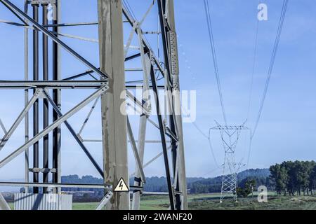 Metalltürme mit Hochspannungskabeln, die ein bewaldetes Gebiet durchqueren Stockfoto