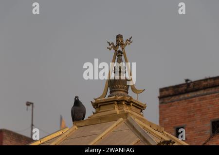 Taube oben auf dem Tempeldach Stockfoto
