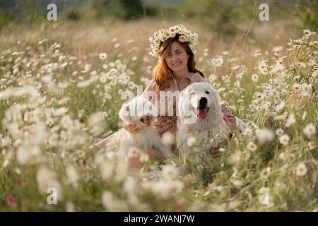 Weibliche Hunde Wiesen-Kamille. Die Frau umarmt ihre pelzigen Freunde auf einem ruhigen Kamillenfeld, umgeben von üppigem Grün. Ein herzerwärmendes Liebesbeweis Stockfoto