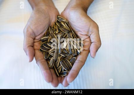 Eine Handvoll reicher Sonnenblumenkerne. Nahaufnahme gerösteter Sonnenblumenkerne. Frau, die einen Stapel Sonnenblumenkerne hält. Stockfoto