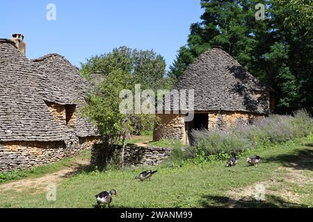 Die berühmten Enten von Périgord unter den Cabanes du Breuil. Diese typischen Périgord Noir-Hütten sind landwirtschaftliche Nebengebäude aus dem 19. Jahrhundert, die aus Trockenstein gebaut wurden Stockfoto