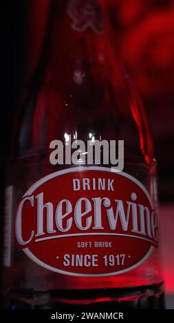 Cheerwine Close Up Full Logo Stockfoto