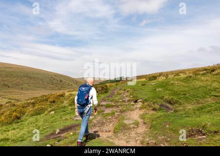 Wistmans Wood Dartmoor National Park, Model freigelassene Frau, die in Richtung der Eichenwälder geht (Abbildung) durch die Landschaft von Dartmoor Herbst 2023, England, Großbritannien Stockfoto