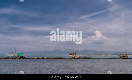 Panoramablick auf das Angelnetz von den berühmten Baumkronen in Marina di Pisa, Toskana, Italien, an einem sonnigen Tag Stockfoto