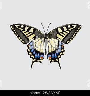 Isolierte schöne bunte Schmetterlingsvektor-Illustration Stock Vektor