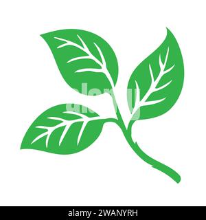 Grüne Zweige und Zweige mit Blättern Vektor, Herbstblätter auf Zweigen flache Vektorillustration isoliert auf weißem Hintergrund Stock Vektor
