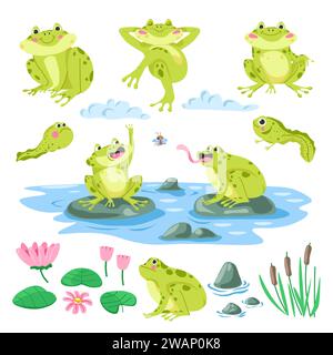 Kaulquappen, Frösche, Flora und Fauna Illustrationsset Stock Vektor