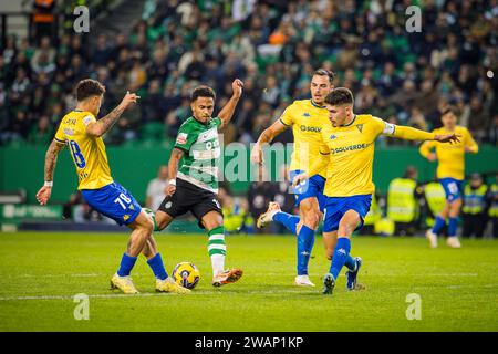 Lissabon, Portugal. Januar 2024. Marcus Edwards von Sporting CP (CL) und Tiago Araujo (L), Pedro Alvaro (CR) und Bernardo Vital (R) von Estoril Praia im Spiel der Liga Portugal Betclic zwischen Sporting CP und Estoril Praia im Estadio Jose Alvalade. (Endnote: Sporting CP 5 - 1 Estoril Praia) (Foto: Henrique Casinhas/SOPA Images/SIPA USA) Credit: SIPA USA/Alamy Live News Stockfoto