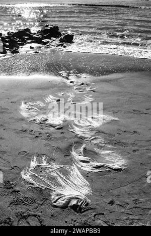 Formen und Farben am Strand aus Plastikstücken Stockfoto