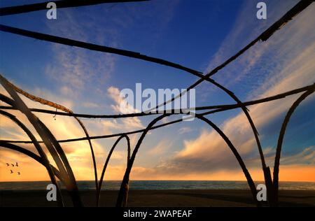 Fünf Möwen und eine Zuckerrohranlage am Strand mit Blick auf das Mittelmeer bei Benejarafe in der Provinz Malaga, Andlaucia, Spanien Stockfoto