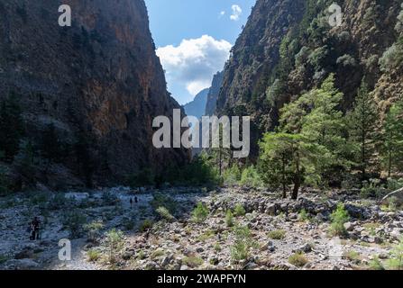 Ein Bild der klassischen Landschaft der Samaria-Schlucht mit Felsen auf dem Boden und umliegenden Bäumen und Bergen. Stockfoto