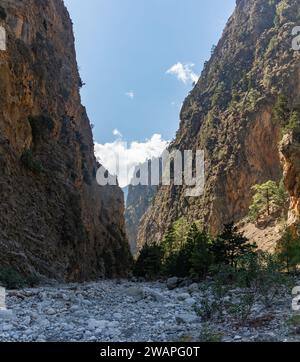 Ein Bild der klassischen Landschaft der Samaria-Schlucht mit Felsen auf dem Boden und umliegenden Bäumen und Bergen. Stockfoto