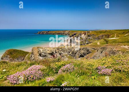 Bedruthantreppe im Sommer, mit Wildblumen, tiefblauem Meer, klarem blauem Himmel und Sonnenschein, Cornwall, Großbritannien. Stockfoto