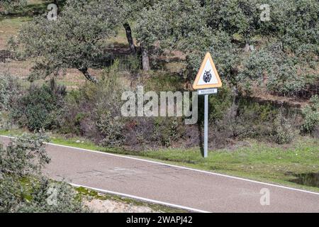 Wilde Tiere vor dem Signal, iberischer Luchs, Lynx pardinus, mit dem Satz erinnern auf spanisch, Andújar, Jaén, Andalusien, Spanien Stockfoto